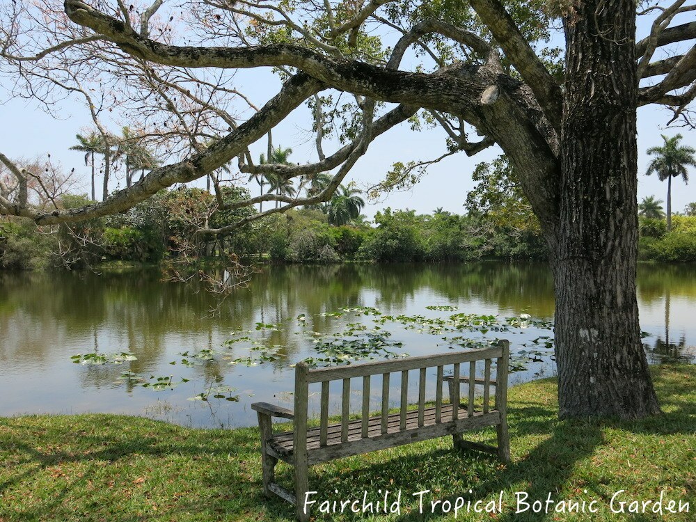 Fairchild-botánico-jardín-Miami